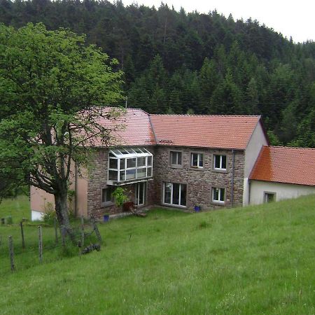 Gite Hansel De La Ferme Du Schneeberg Wangenbourg-Engenthal Esterno foto