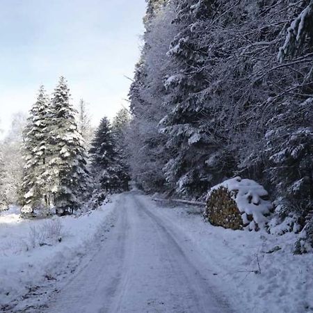 Gite Hansel De La Ferme Du Schneeberg Wangenbourg-Engenthal Esterno foto