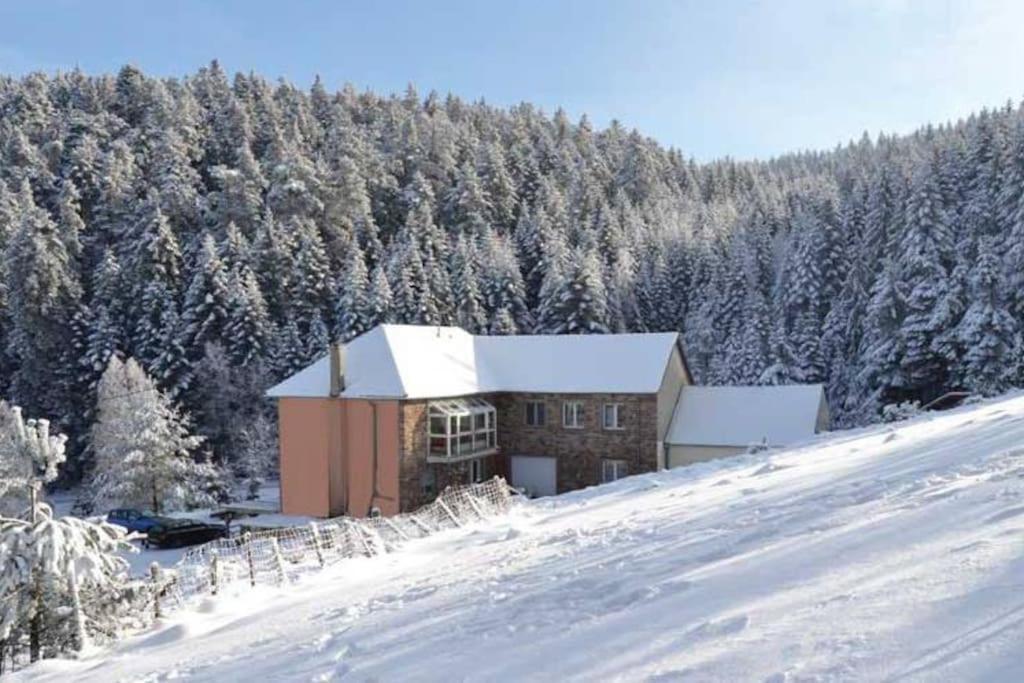 Gite Hansel De La Ferme Du Schneeberg Wangenbourg-Engenthal Esterno foto
