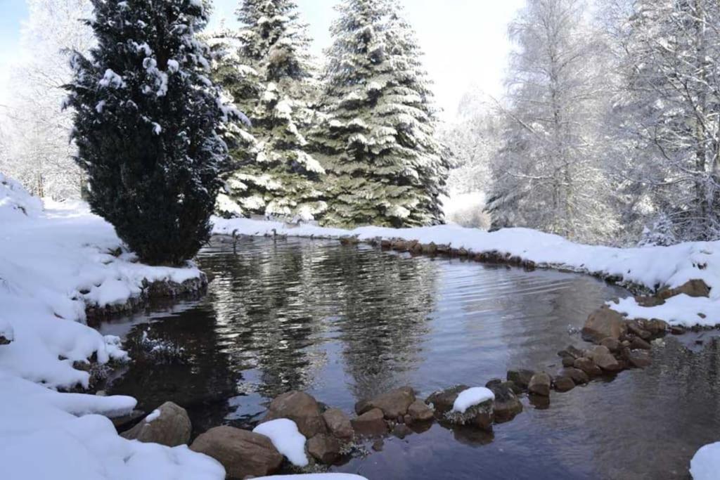 Gite Hansel De La Ferme Du Schneeberg Wangenbourg-Engenthal Esterno foto