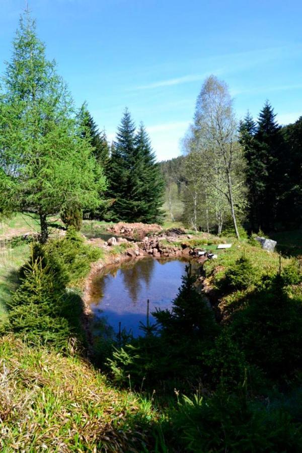 Gite Hansel De La Ferme Du Schneeberg Wangenbourg-Engenthal Esterno foto
